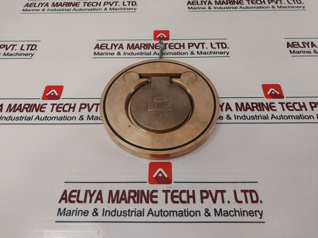 Gop 100 3 Gbz X Swing Check Valve