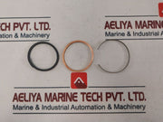 Gould 2â€ M-1-3T Solenoid Valve Repair Kit