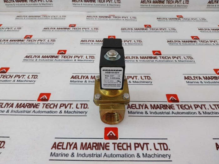 Granzow H5B19-00Y 2-way, Direct Lift Solenoid Valve 3/4” 110-120V/50-60Hz