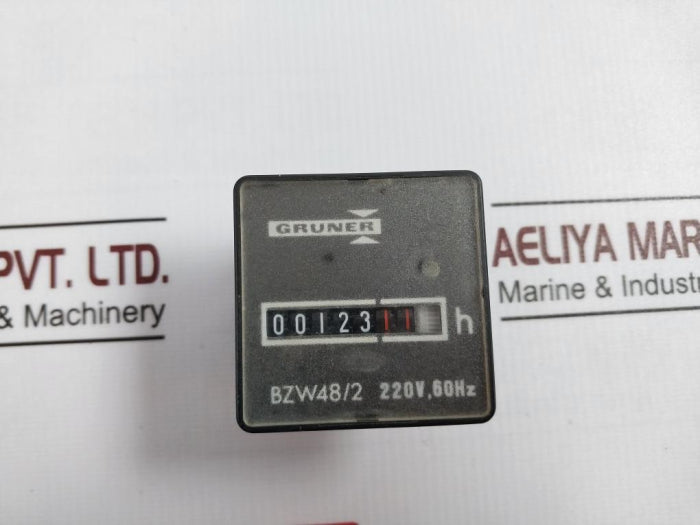 Gruner Bzw48/2 Counter 220V, 60Hz