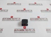 Gruner Bzw48/2 Counter 220V, 60Hz