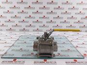 Haitima Gs Hydro Dn65 Pn63 Max. 200°C Industrial Valve