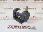 Hartmann & Braun Tgm 4 Cmr Transmitter P 14435-0-6311200360