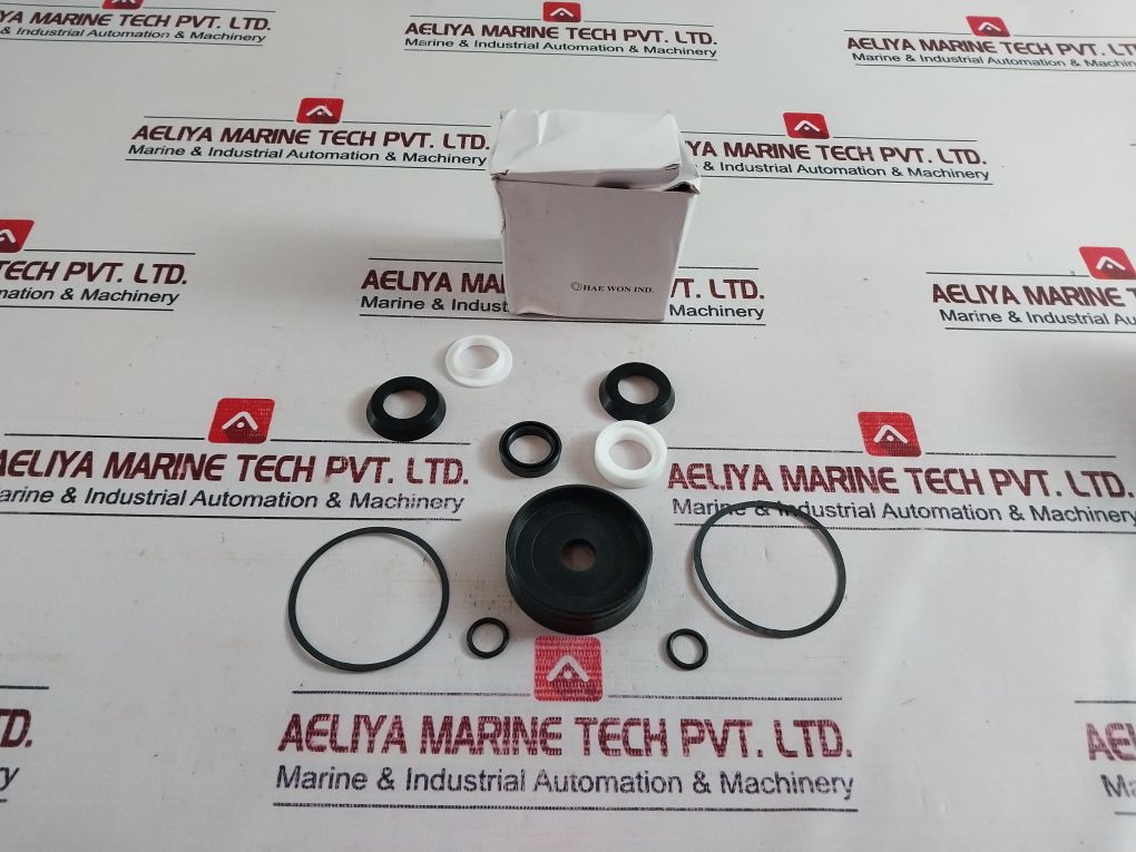 Hea Won 521 096 000 2 Air Cilinder/Cylinder (57) Kit Z0D18103003