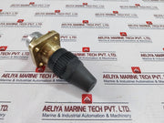 Henry D262A-2A (8-059-008) Seal Cap Valve Icn 10006844