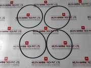 Huisman 2032621 For Pressure Intensifier Cylinder Seal Set