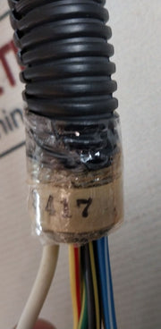 Hyster 2026640 Fe Fem Wire Harness