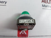 Idec Apn133G Pilot Light 250V