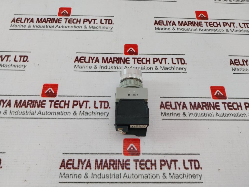 Idec Apw116R Control Unit 100/110V 50-60Hz