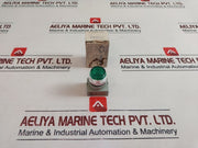 Idec Apw Pilot Light Green 5-30V 1W Max