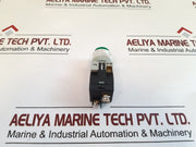 Idec Apw Tw Pilot Heavy Duty Lights