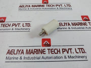 Ifo Electric 6/500 Fuse 6Amp 500Vac