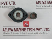 Ina Flange Bearing-flcte 20