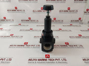 Ingersoll Rand R37581-100 Air Regulator