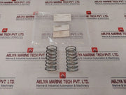 Lot Of 8X Iron Pump 83 Valve Spring-discharge 117381122