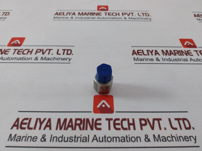 ivi-5454240-adapter-1-4-inch-fnpt-to-1-4-inch-mbsp-ss-304