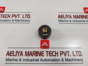 Iwa Ar2000-02 Air Line Pressure Regulator