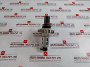 Janatics Frc136134 Fully Automatic Filter Regulator, 0-150 PsiÂ 