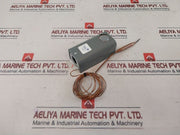 Johnson Controls A19Abc-24 Temperature Control -30/100°F