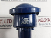 Jumo 2X Pt100 Temperature SensorÂ 