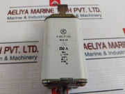 Karl Jung Iec 269-2 Gl Fuse 250 A 500V