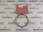 Klinger Api 6A-0348 Gasket Ring Rtj R50