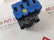 Kraus & Naimer Kg64 Disconnect Switch 60 Amp.