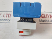 Kraus & Naimer Kg 32A Main Switch