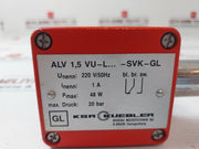 Ksr Kuebler Alv 1,5-vu-l200-svk-gl Float Magnetic Switch