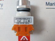 Lay7 (Pbcy090) Lay37 10A Push Bhtton Switch