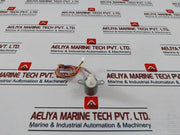 Leili Changzhou 3S470006-1 Air Swing Motor