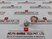 Leili Changzhou 3S470006-1 Air Swing Motor