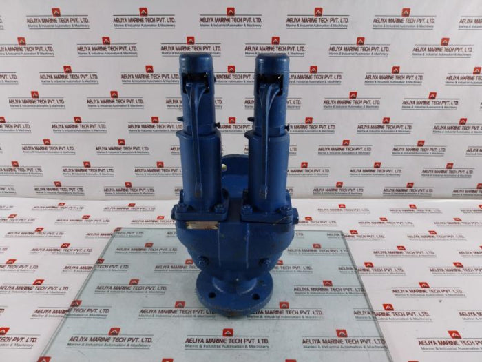 Leser Tuev-sv Pressure Relief Valve 11 Bar