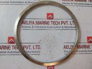 Lonestar 140170-10-01-04 Ring Seal Bonnet