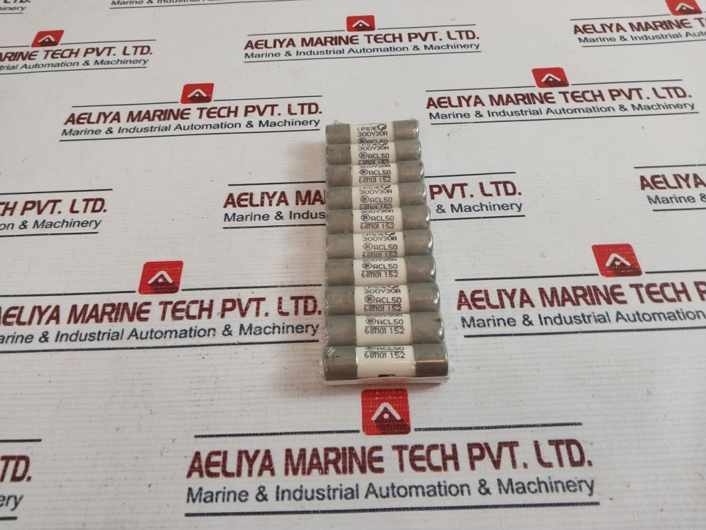 Fuji Electric Fcf2-30 Fuse Link 300V 30A