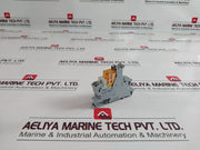 Lot of 15X Wago 788-101 Relay Module With Socket 40.51 AC 250V/16A