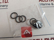 Lot Of 2X Alto 301001494 Valves Kit