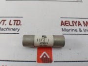 Lot Of 2X Fuji Electric Fcf2-1 Low Temperature Fuse 500 Vac 125 Vdc Limiter