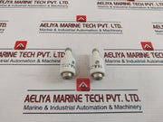 Lot Of 5X Dii Flink Fuse 16A 500V