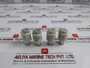 Lot Of 5X Lindner Bogenschutz 50A Ceramic Bottle Fuse, 500V, 50 Amp