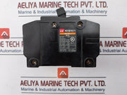LsÂ Bf 52C Molded Circuit Breaker 2P 50A 50/60Hz