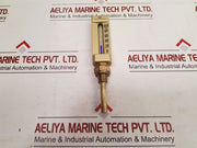 Lsw 0 To 100Â°C Thermometer