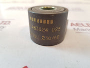 Lucifer 483824 solenoid coil