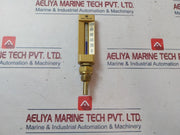 Ludwing Schneider Lsw 0-100Â°C Thermometer 40Mm