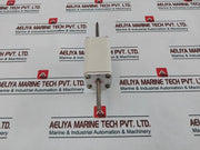 M.Schneider Nh-2 Eurofuse 100A Gl-gg 120 Ka