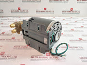 Marathon Electric 5Kh32Gnb784Ax Thermally Protected Ac Motor 50/60Hz