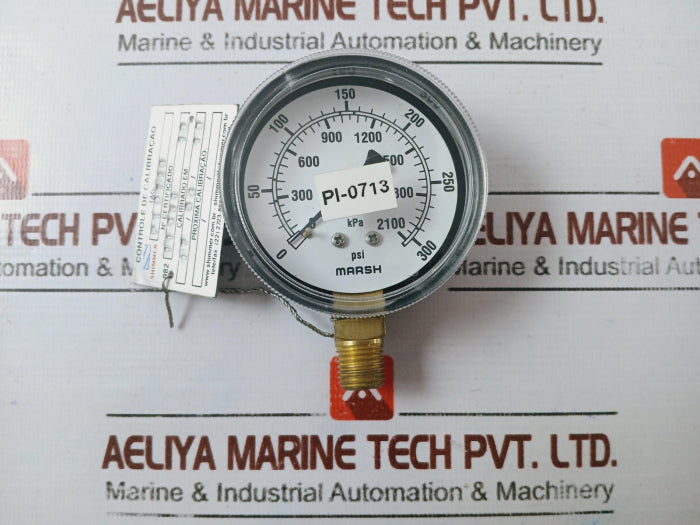 Marsh 0-300 Psi Gauge 0-2100 Kpa 2.5" Dial