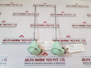 Master 2 Pt 100 Resistance Temperature Detector