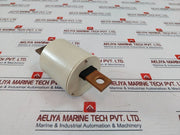 Merlin Gerin 50170 Vigilohm Cardew Surge Limiter 250V