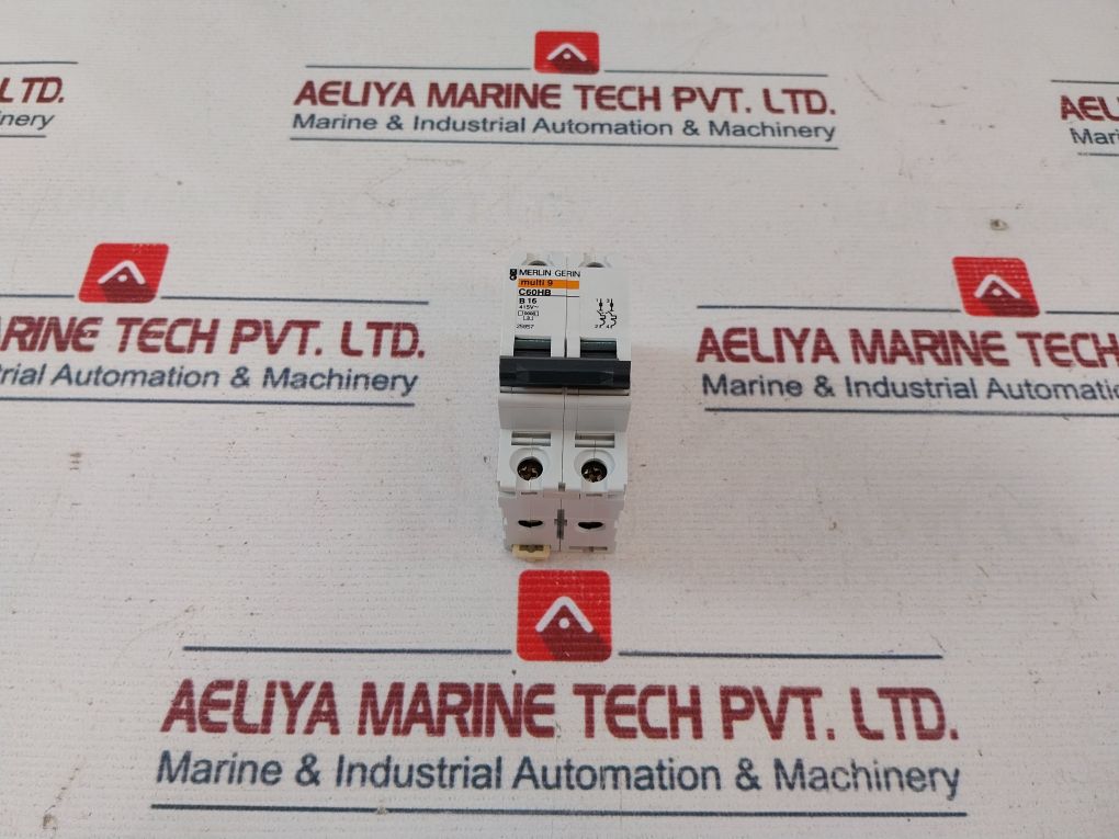 Merlin Gerin C60Hb B16 2 Pole Circuit Breaker 16A